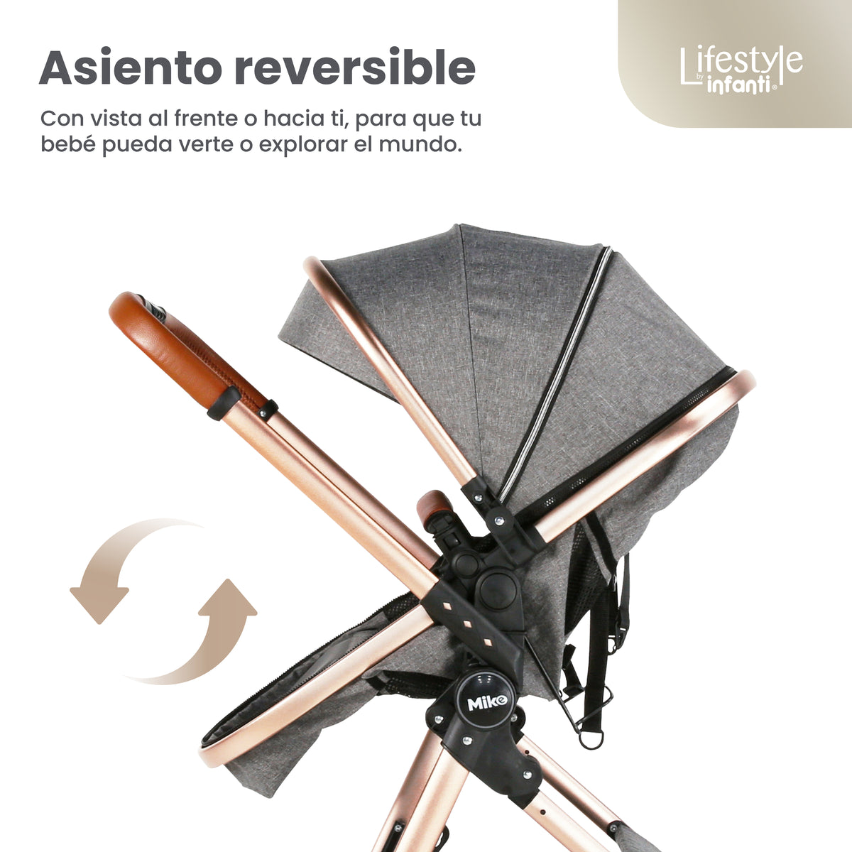 Stroller With Travel System Convertible To Bambineto 