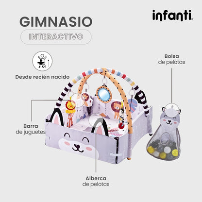 Infanti Gimnasio- Alberca  De Pelotas ''Fox''