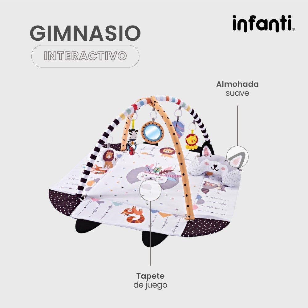 Infanti Gimnasio- Alberca  De Pelotas ''Fox''