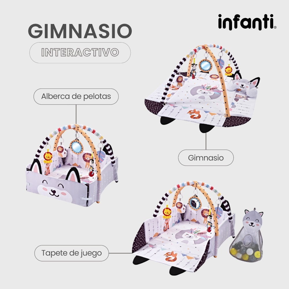 Infanti Gimnasio- Alberca  De Pelotas ''Fox''