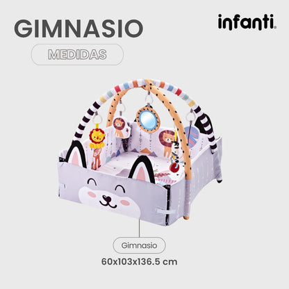 Infanti Gimnasio- Alberca  De Pelotas ''Fox''