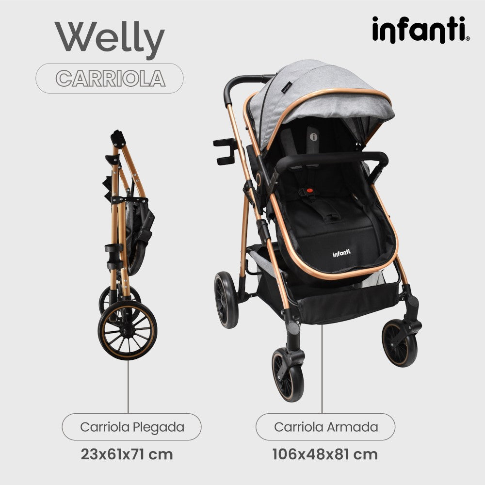 Infanti Carriola Sistema De Viaje Welly Convertible A Bambineto Color Gris