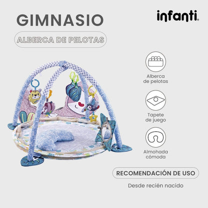 Infanti Gimnasio- Alberca De Pelotas ''Sloth''