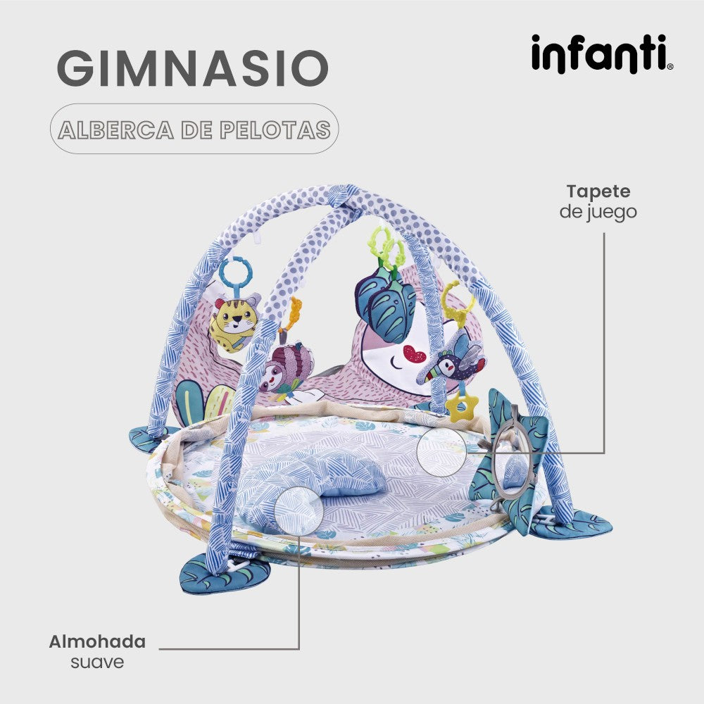 Infanti Gimnasio- Alberca De Pelotas ''Sloth''